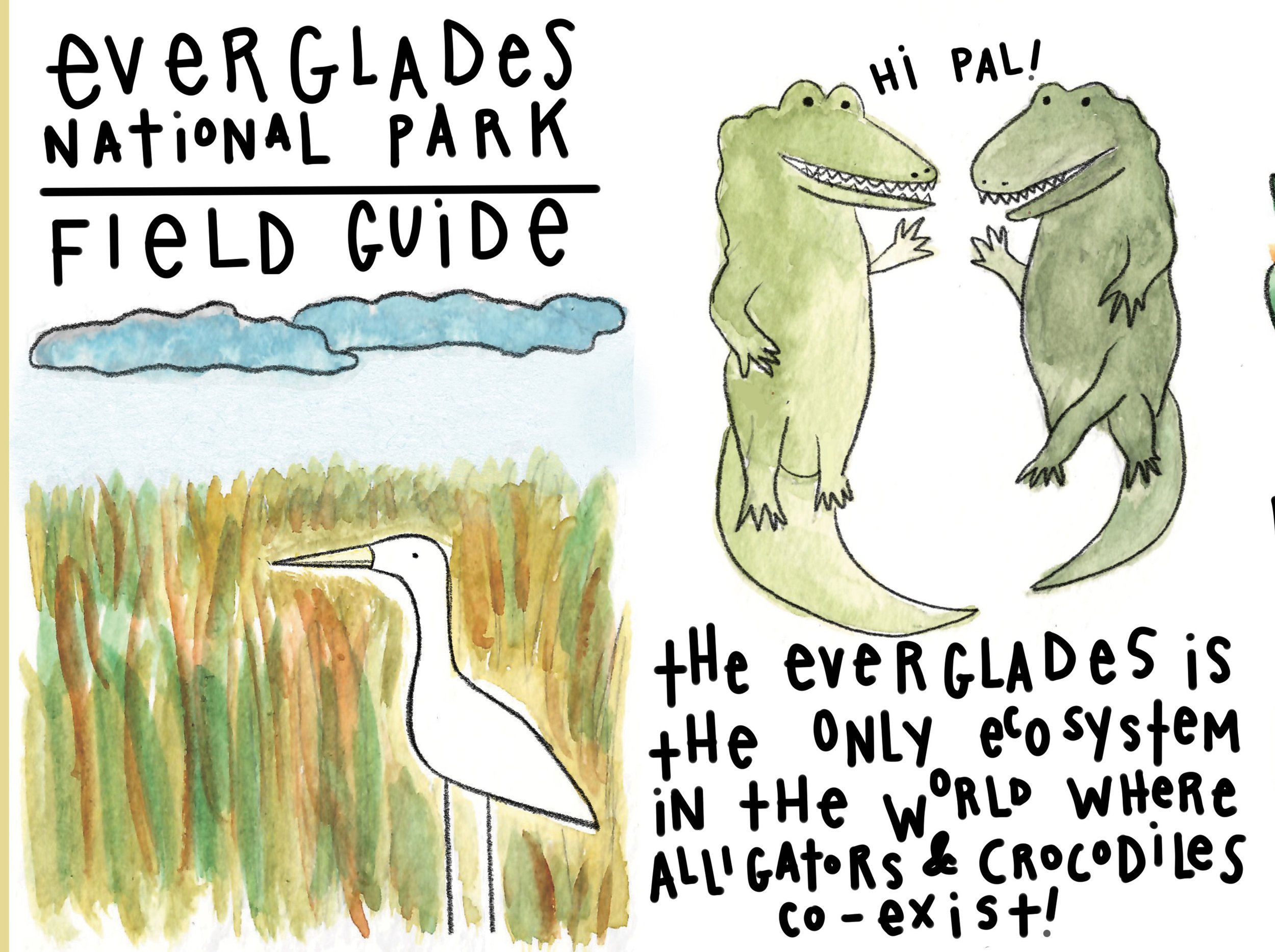 Everglades Zine.jpg