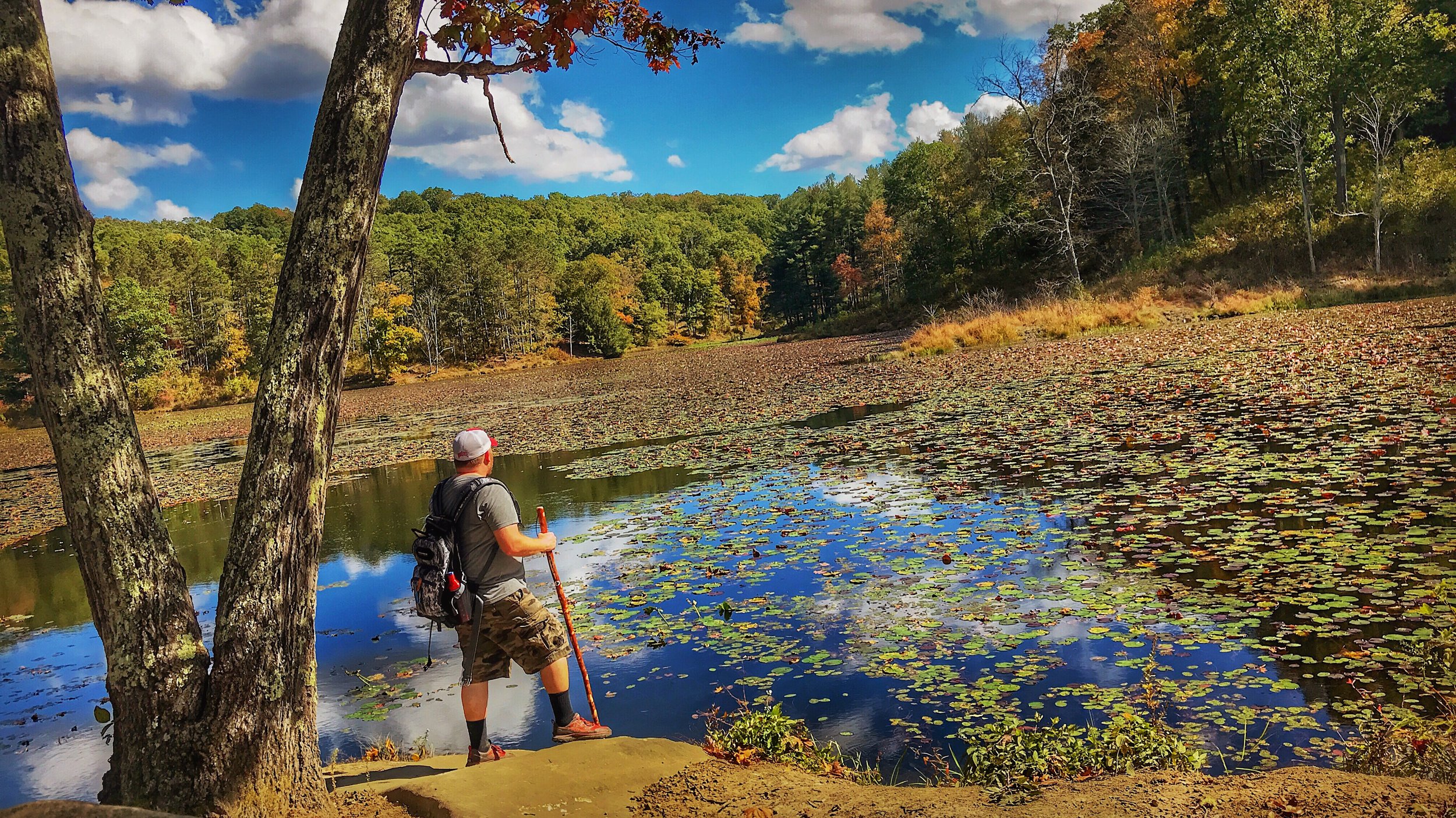 The Furnace Trail at Lake Hope State Park, OH.JPG