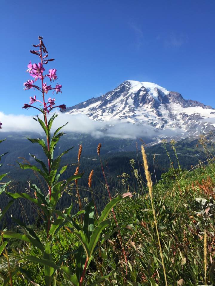 Mount Rainier - Pinnacle Peak.jpg