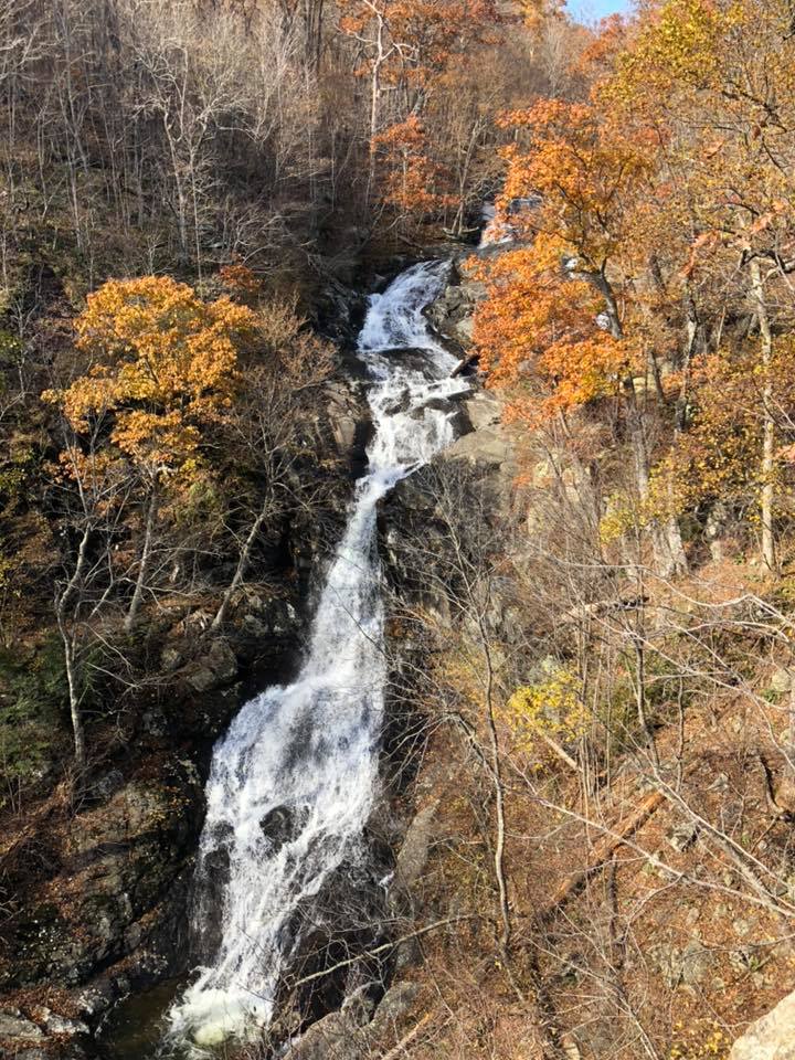 White Oak-Cedar Run.jpg