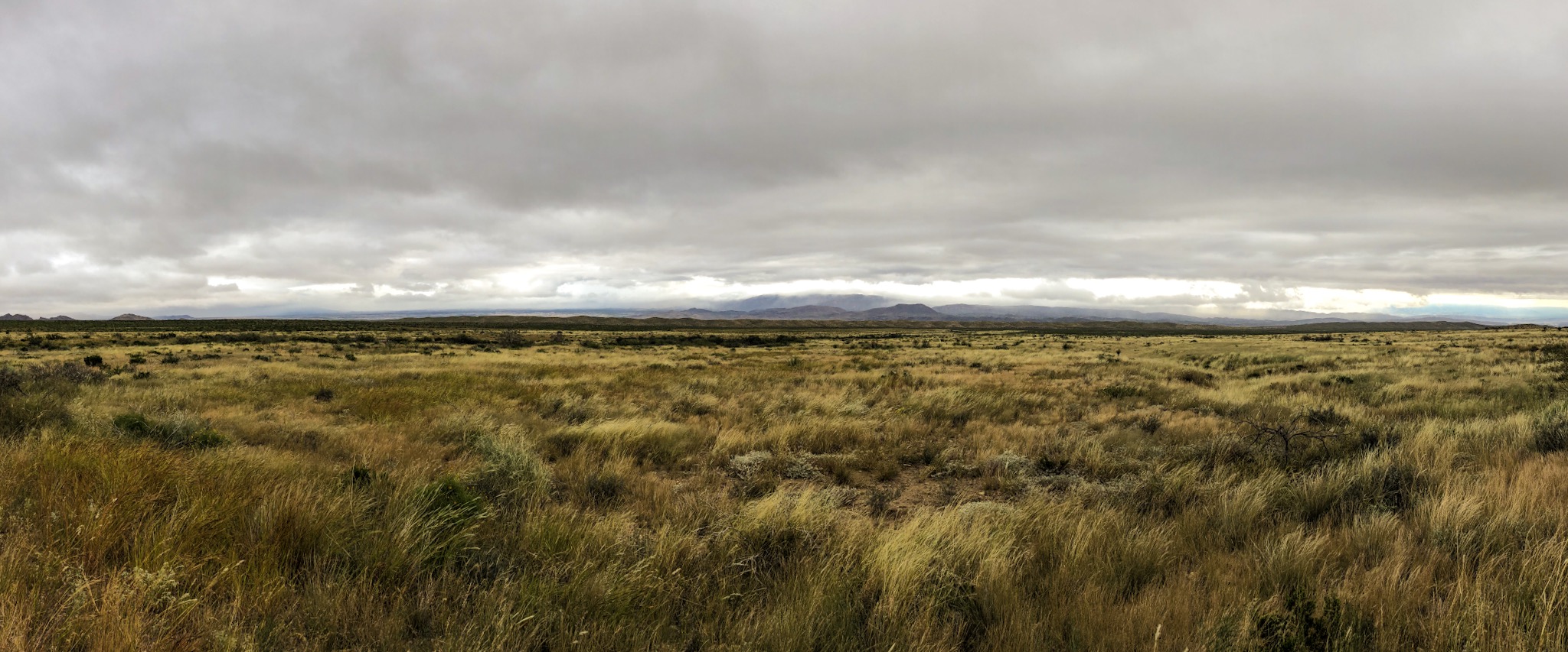 Big Bend.jpg