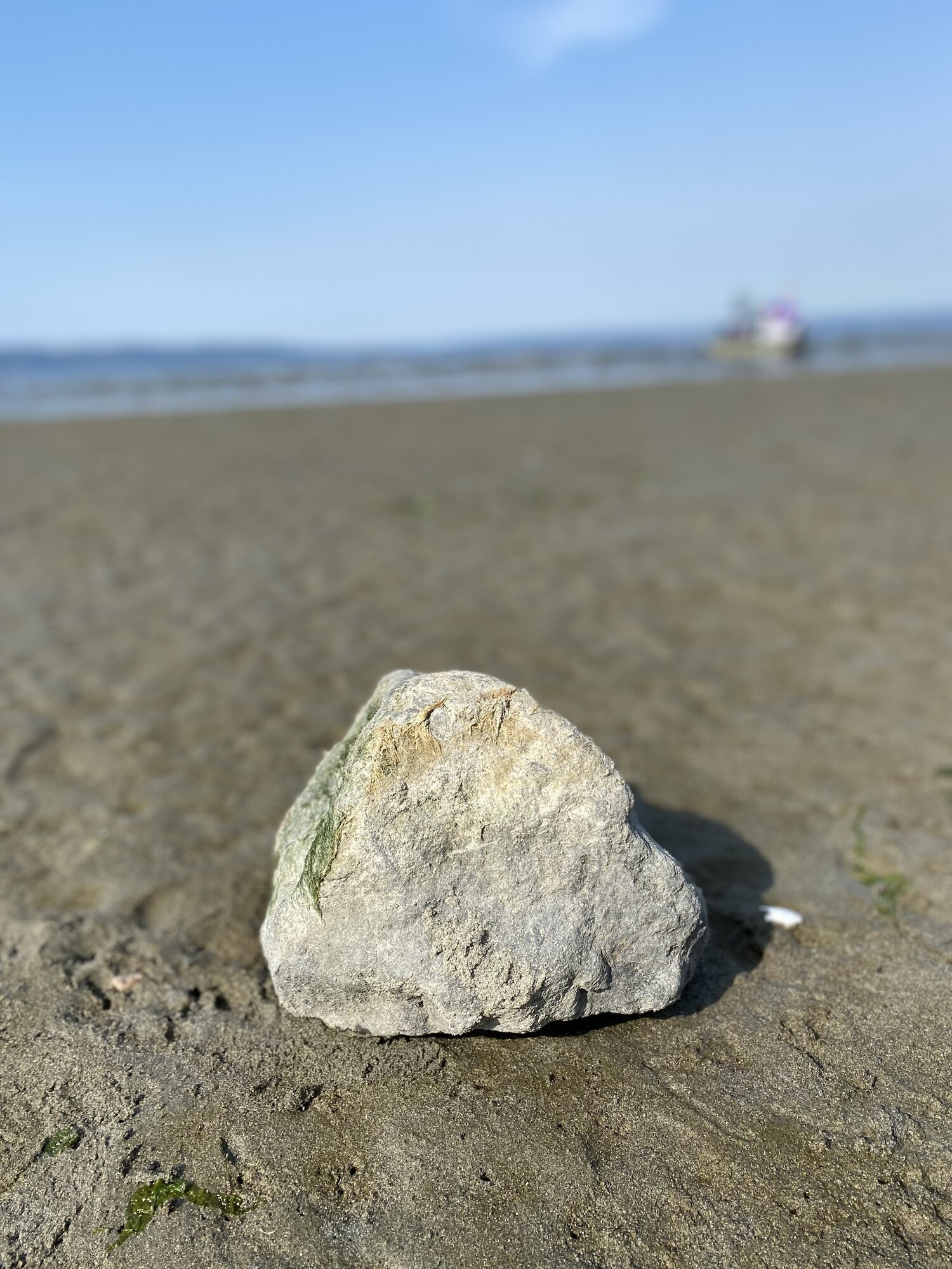 Dash Point State Park.jpeg
