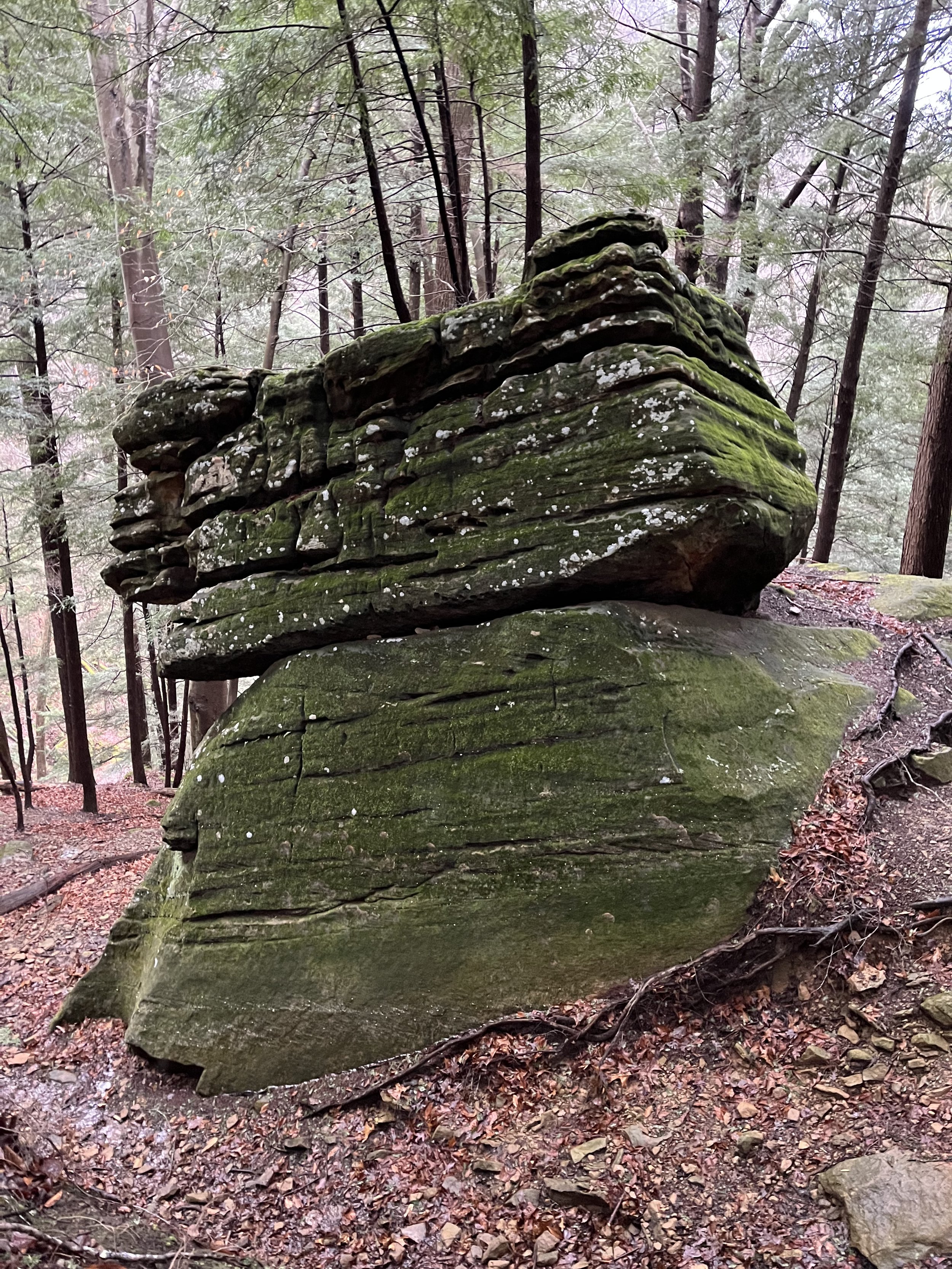 Balanced Rock Buckeye Trail Ohio.JPG