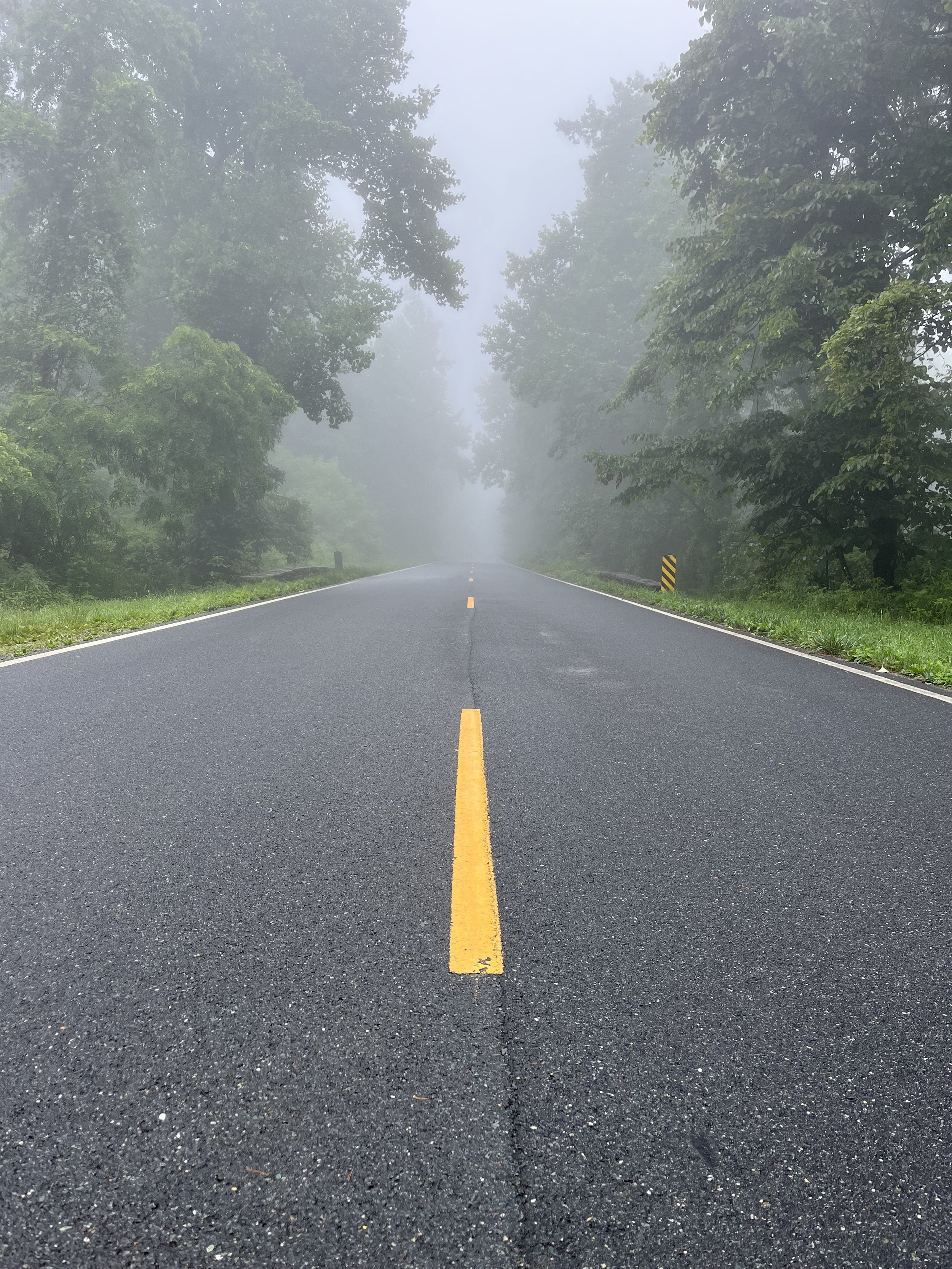Skyline Drive AT.jpg