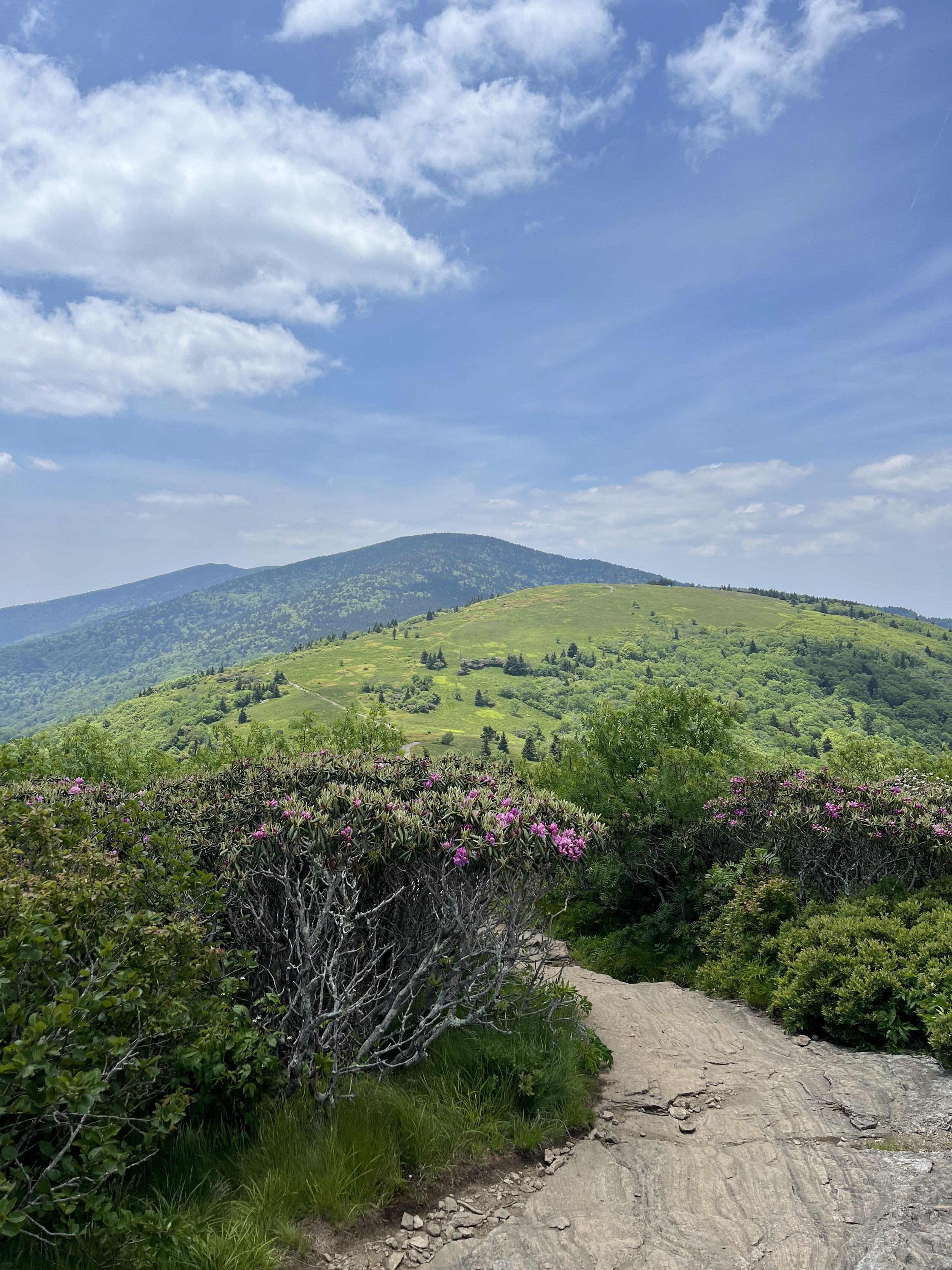 Roan Highlands Appalachian Trail.jpg