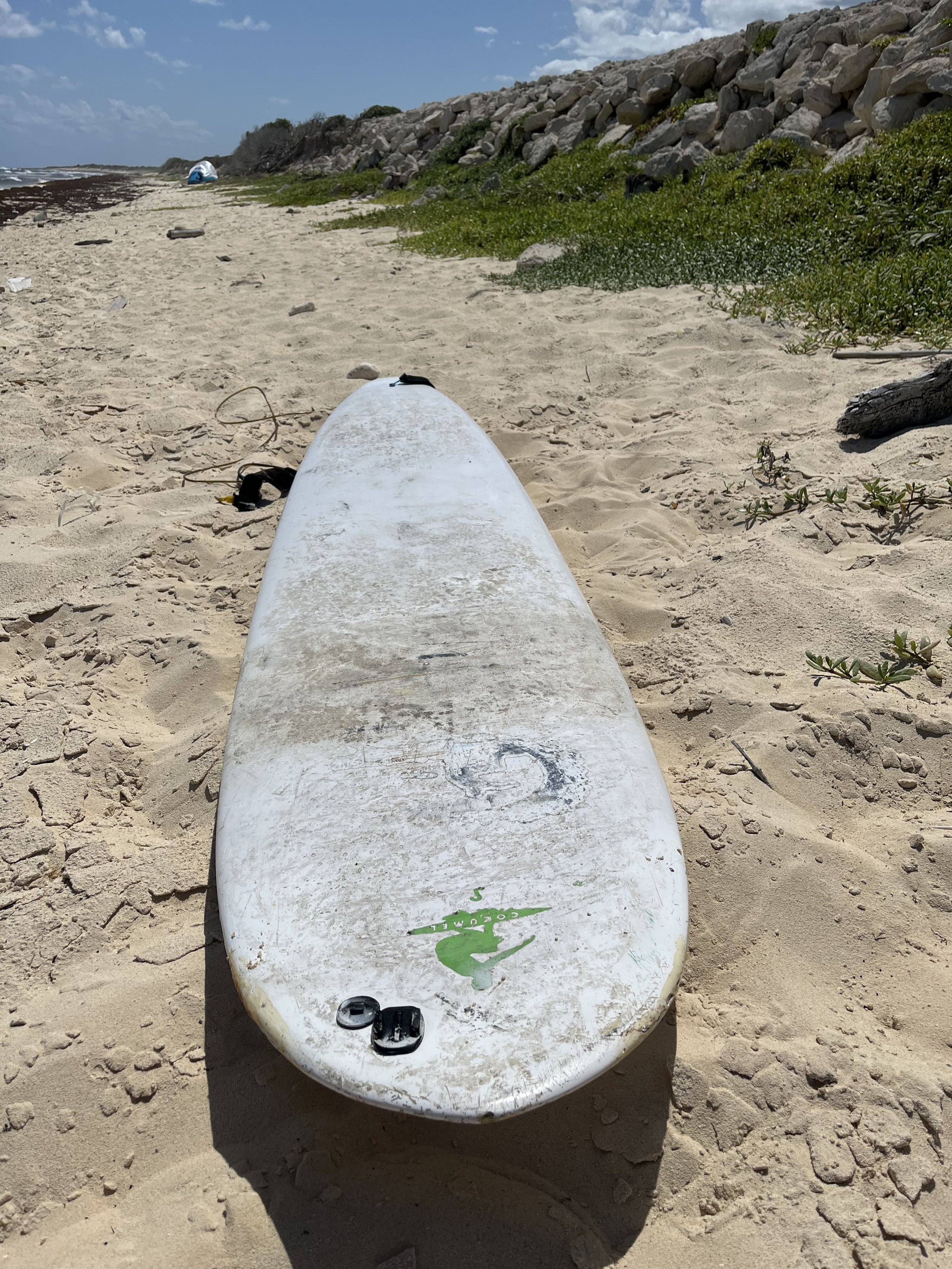 Surf Board.JPG