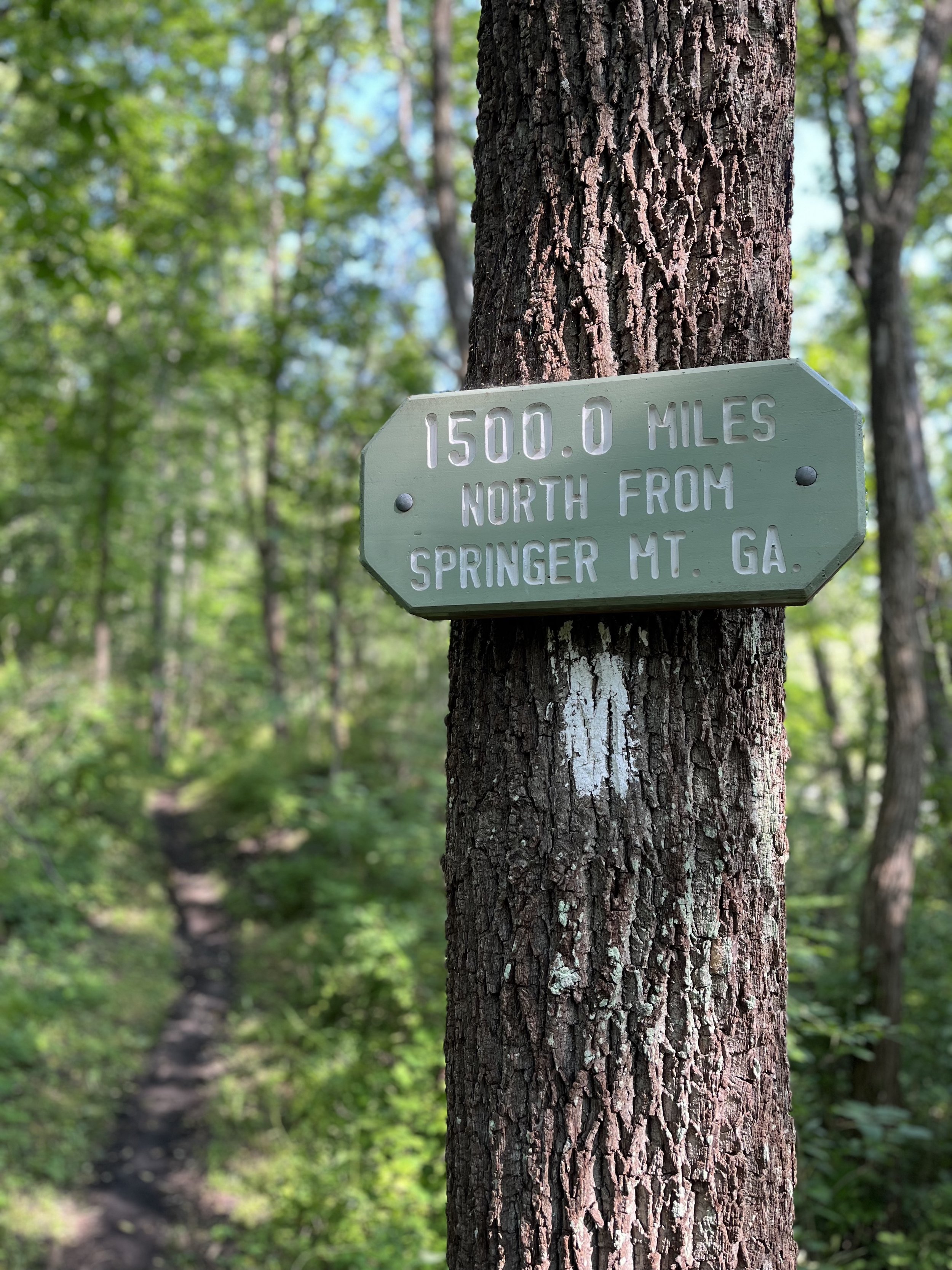 Appalachian Trail Connecticut.jpg