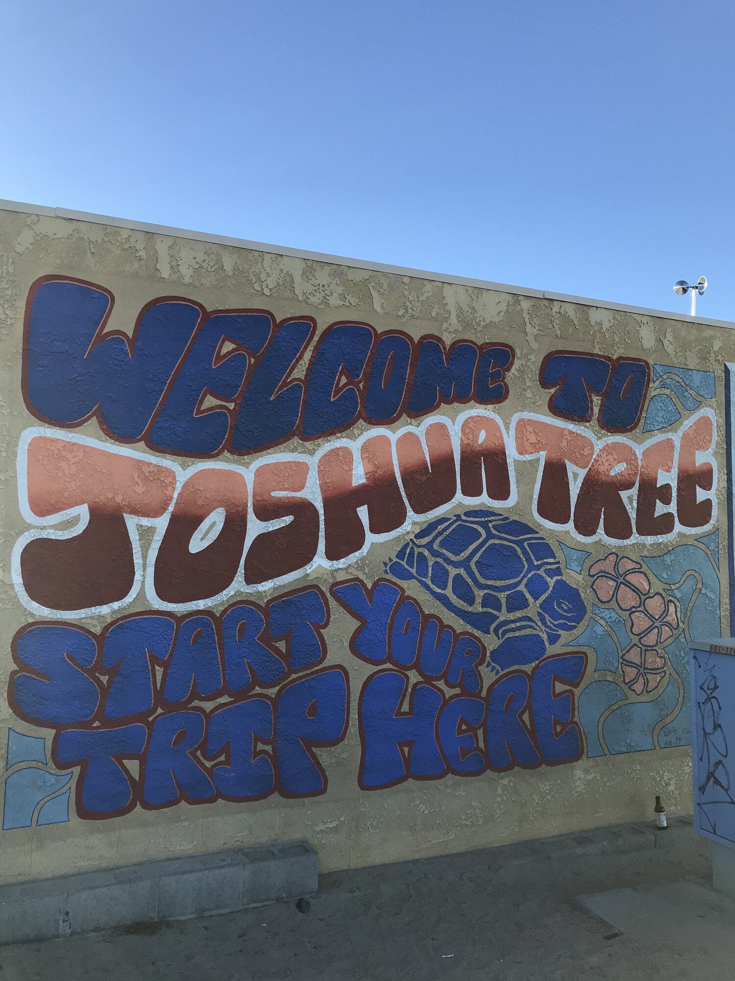 Joshua Tree California.jpeg