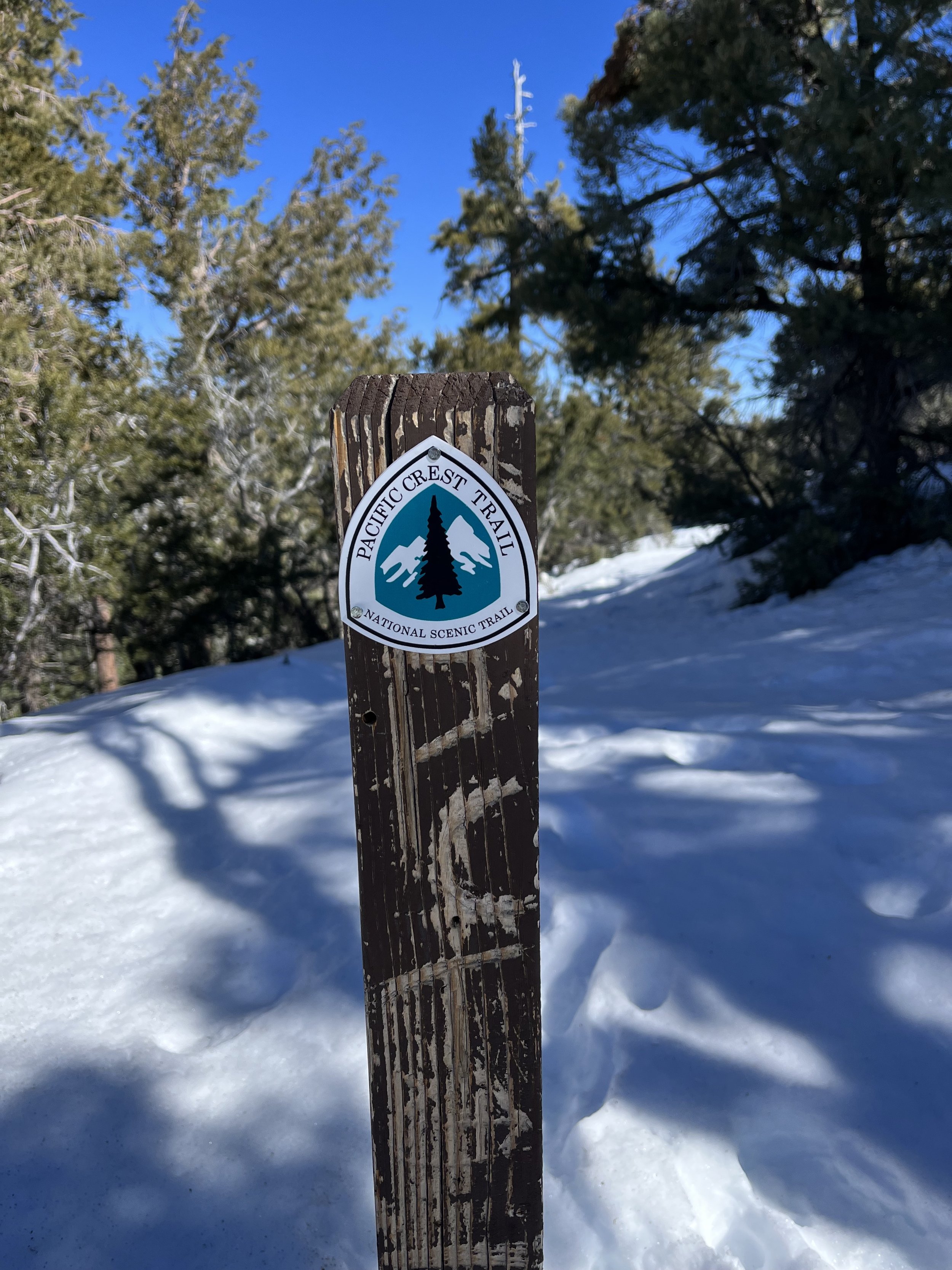PCT Section Hike Sign Big Bear California.jpg