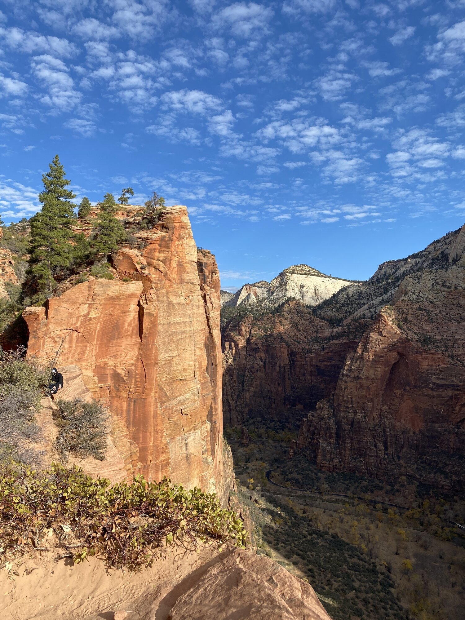 Angels Landing Zion.jpeg