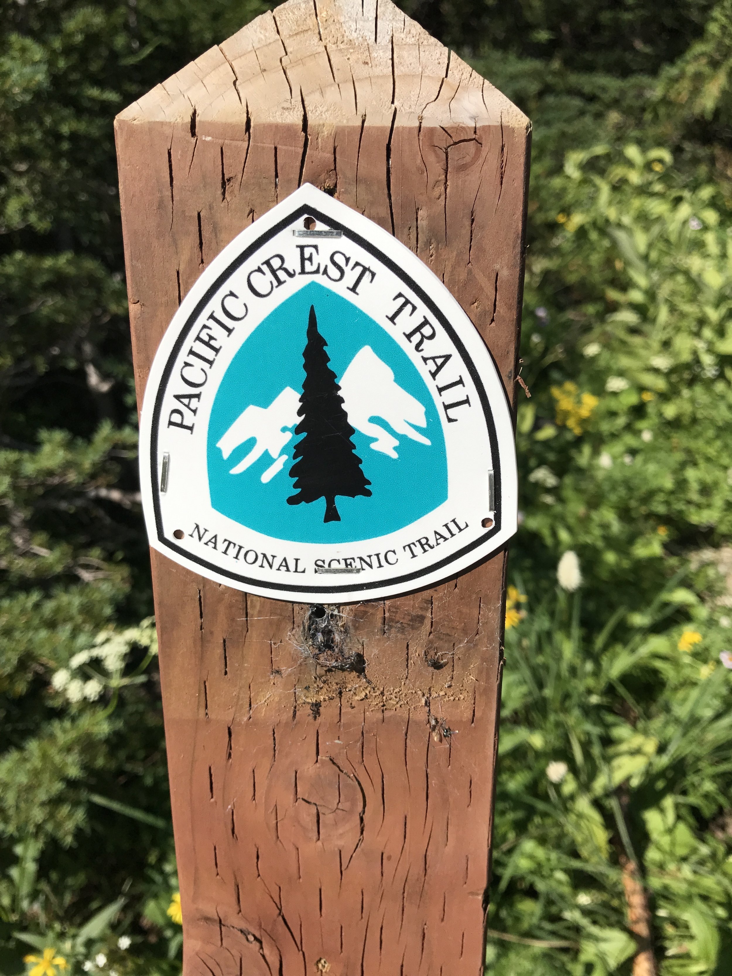 Pacific+Crest+Trail+Sign+Mount+Rainier+National+Park.jpeg