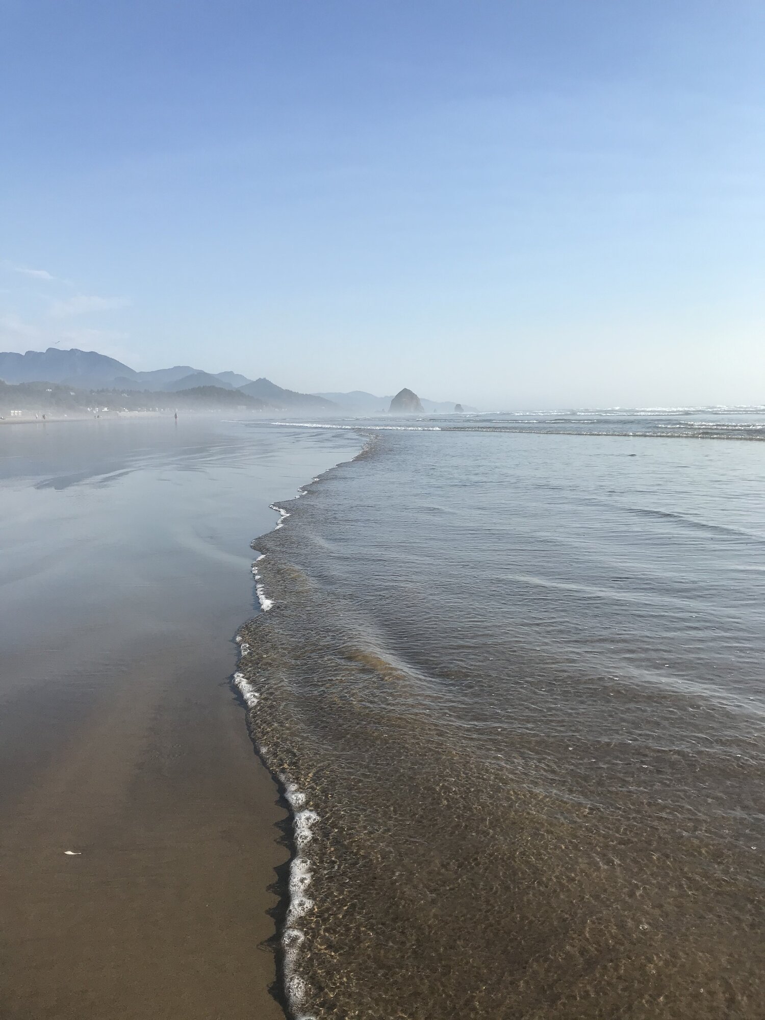 Maznanita Oregon.jpeg